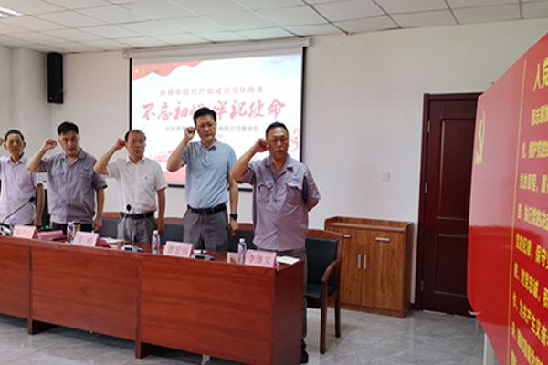 駿達公司開展慶祝建黨99周年不忘初心 牢記使命主題黨日活動